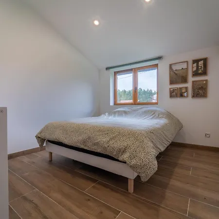 : Maison 8p Avec Jardin Et Climatisation - Fr-1-50-164 Pontenx-les-Forges